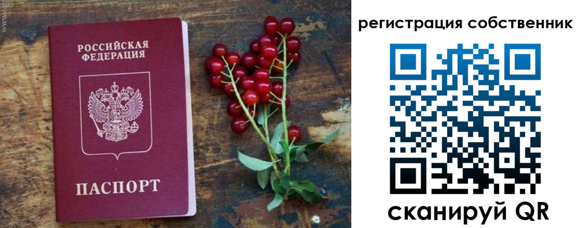 регистрация для дет. сада в Кулебаки